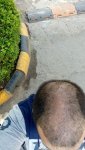 IMG20170722145941.jpg