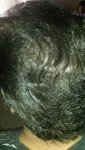 08-11-17 Close up with Flash.jpg
