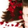 Aanchal