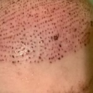 8184_300746_050000002.jpg