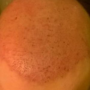 8184_300748_310000002.jpg