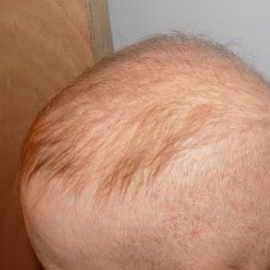 8184_300833_310000003.jpg