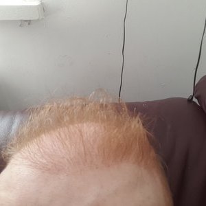 8184_300843_510000002.jpg