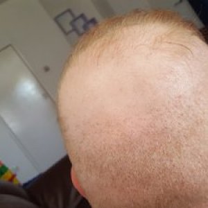 8184_300843_510000003.jpg