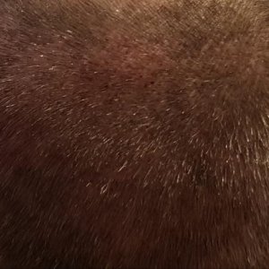 8222_150820_490000001.jpg