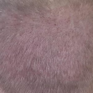 8222_150827_580000000.jpg