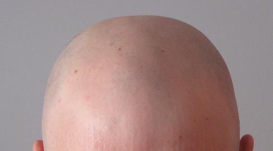 3224_261926_380000000.jpg