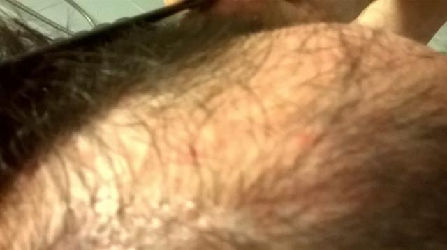 3799_180615_400000000.jpg