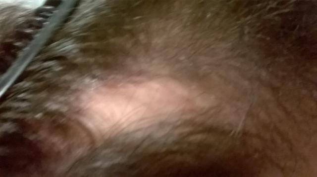 3799_180616_020000000.jpg