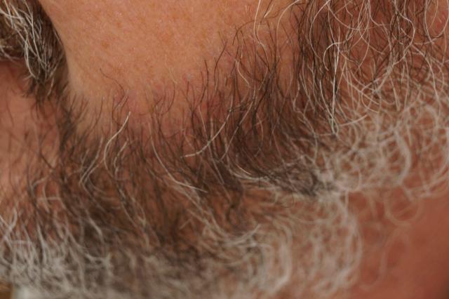 3851_241001_100000004.jpg