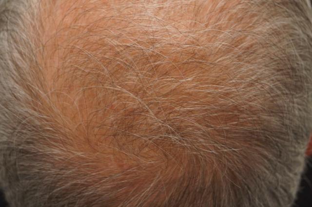 3851_261836_100000004.jpg