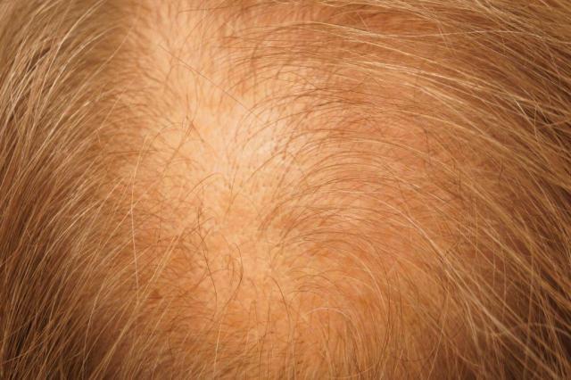 3851_280759_580000000.jpg