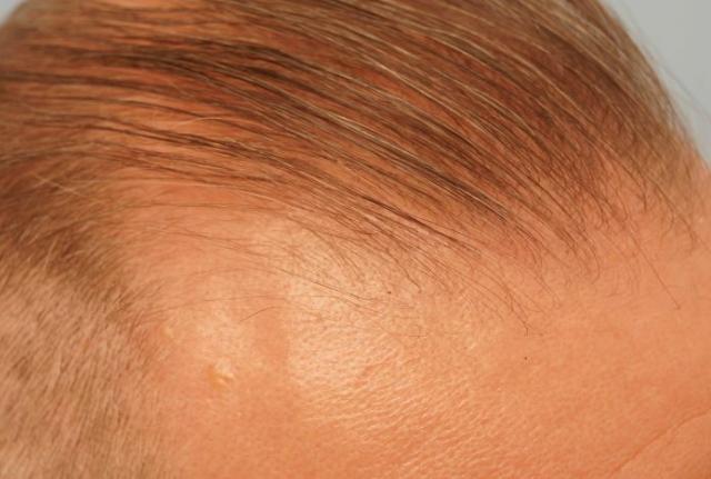 3851_281609_510000001.jpg