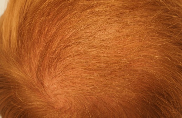 3851_290803_150000002.jpg