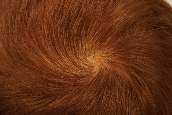 3851_291136_450000004.jpg