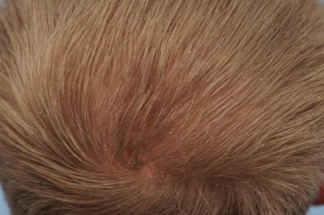 3851_301055_200000001.jpg