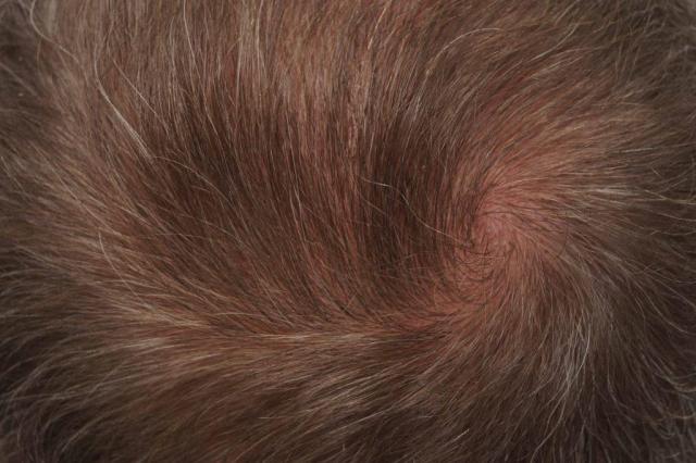 3851_301100_050000003.jpg
