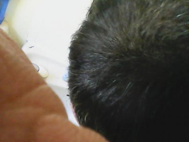 4078_231419_480000003.jpg