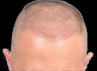 4558_161823_280000003.jpg