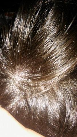 6054_141929_220000004.jpg