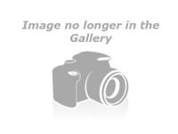 6214_131037_460000002.jpg