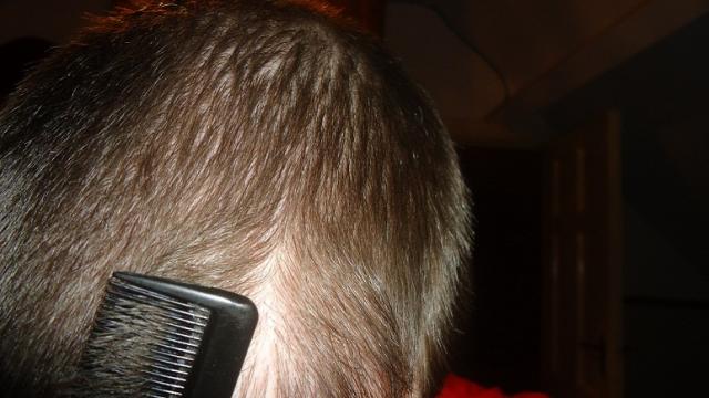 638_160955_040000000.jpg