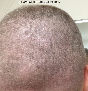 7996_100046_360000002.jpg