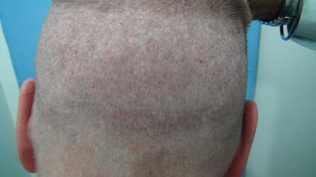 81_180340_350000003.jpg