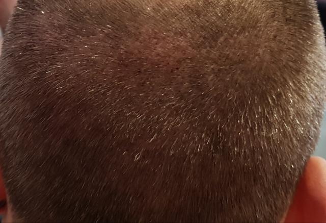 8222_150820_490000001.jpg