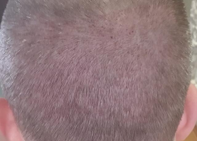 8222_150827_580000000.jpg
