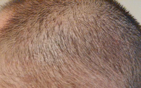 879_291355_530000001.jpg