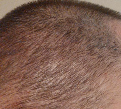 879_291355_530000002.jpg