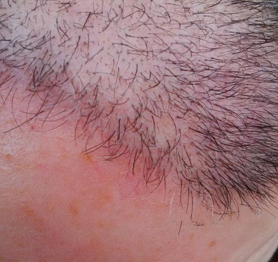 879_291357_120000002.jpg