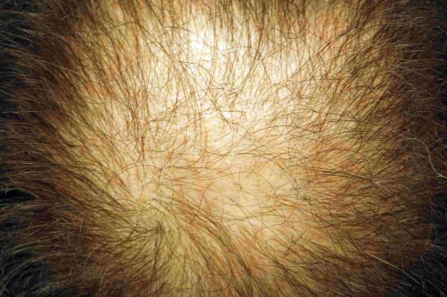 3851_221046_510000004.jpg