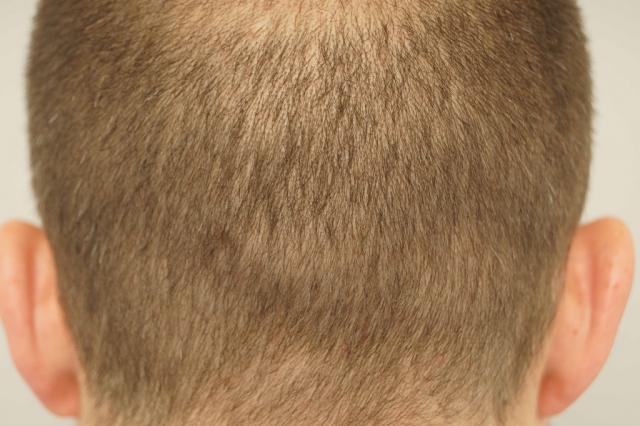 3851_291140_250000004.jpg