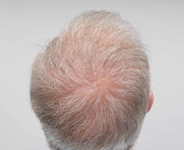 3851_310928_370000000.jpg