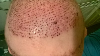 8184_300746_050000002.jpg
