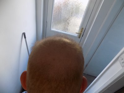 8184_300809_150000004.jpg