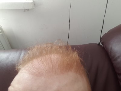 8184_300843_510000002.jpg