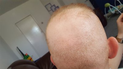8184_300843_510000003.jpg