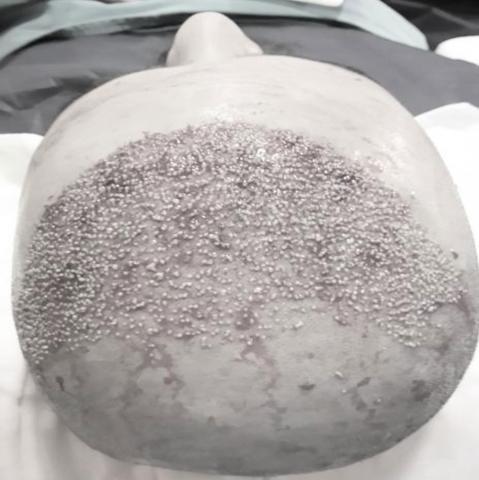 8228_010810_480000000.jpg