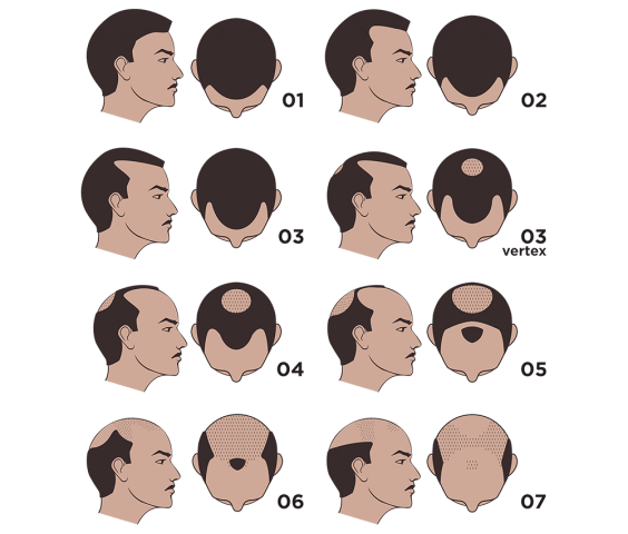 8322_261138_510000000.png